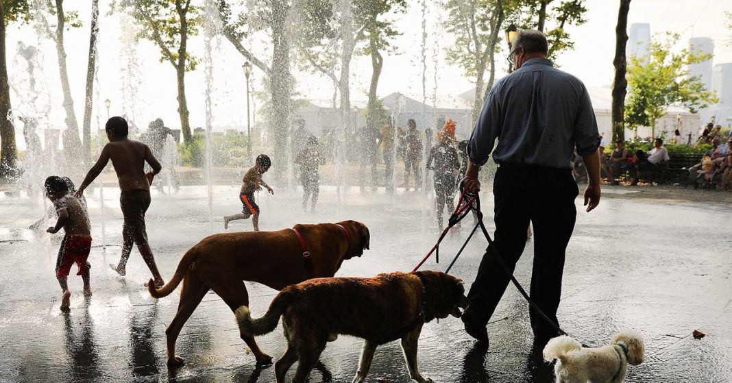 New York Is About to Feel Hotter Than Phoenix
